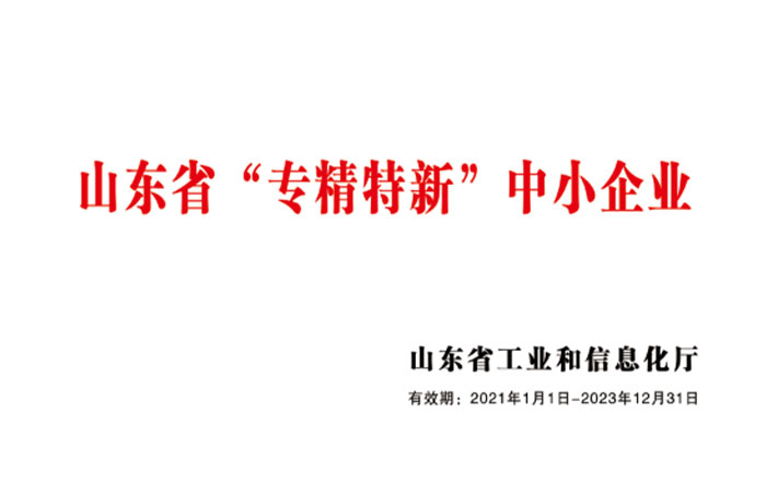 2021年专精特新中小企业
